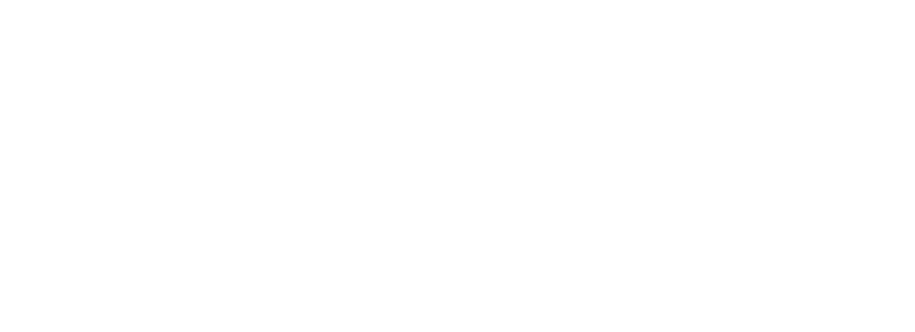 The Baqar Foundation logo